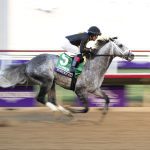 Delaware Park picks and horses to watch: November 5