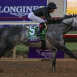H P Moon set for return in Spectacular Bid