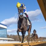 Whereshetoldmetogo narrow winner in Bender Meml.