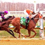 Hello Beautiful seeks 4th straight in Politely