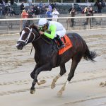 Jock Mychel Sanchez suspended, taken off mounts