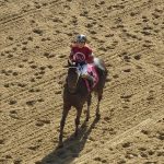 Maryland breeders awards enhanced, modified