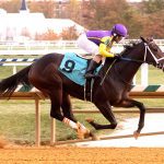 Princess Kokachin, Hello Beautiful to square off again