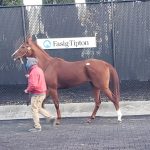 Laurel Park will not race this upcoming weekend