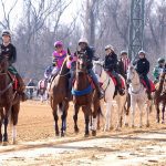 Juba’s Notion seeks second straight in WV Futurity
