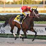 Jockey Rosario Montanez makes Sunday return