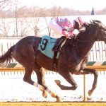 Delaware: Intriguing group set to contest Cape Henlopen
