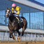 Jevian Toledo, Greeley and Ben star in Laurel stakes