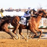 Delaware Park picks and horses to watch: November 2