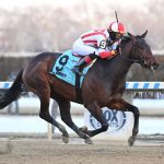 Preakness Profile: Fenwick