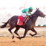 Cordmaker makes the grade in General George