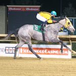 Shake Em Loose strikes again in Private Terms