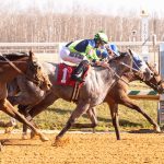 MHBA announces BackStop aftercare account