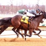 Luna Belle “bouncing around the shedrow” after big win