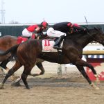 Battle Bling heads Obeah Stakes lineup