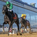 Shake Em Loose strikes again in Private Terms