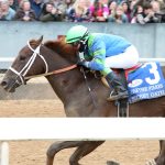 Preakness Profile: Simplification