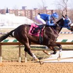 Eric Reed: “If it was four weeks, we’d have been” in Preakness