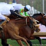 Triple Crown: Tampa Bay Derby picks and analysis