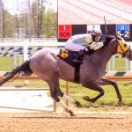 Charles Town picks and analysis: April 30