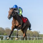 Former claimer Rough Sea sails to Native Dancer upset