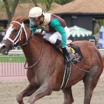 Peace and Justice: Sire’s offspring versatile, precocious