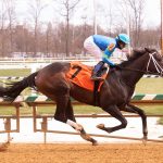 Laurel: Field Pass, Alms among April 23 stakes noms