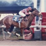 Parx picks and horses to watch: April 19