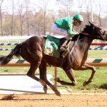 Off to the Races Radio: Karamanos, Trombetta featured