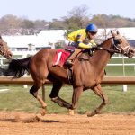 Chez Pierre right at home in Henry S. Clark romp