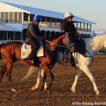 Interstate Daydream drives to Black-Eyed Susan win
