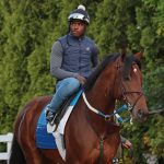 Technical Analysis gallops in Gallorette