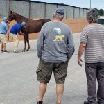 So proud of her: Can the Queen’s winding road to stakes winner