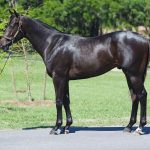 Parx picks and horses to watch: May 25