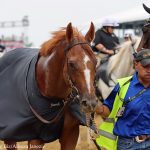 Delaware Park: Stakes-quality allowance featured