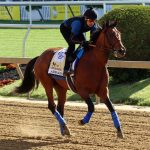 Preakness Profile: Skippylongstocking