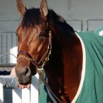 Gallorette: Motion hoping Crystal Cliffs set for big outing