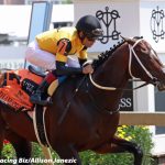 Preakness Profile: Happy Jack
