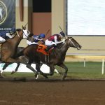 Fasig-Tipton: How the Midlantic-breds did