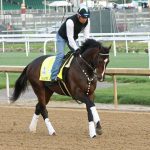 Preakness Profile: Early Voting