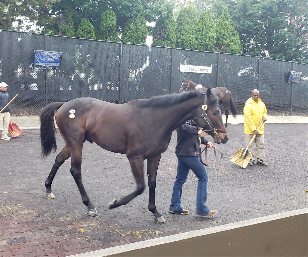 Hip 536