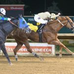 The (almost) fabulous fillies of the Preakness