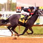 Zandon installed as Kentucky Derby favorite