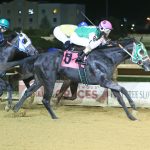 Fasig-Tipton 2yo sale has big catalog, high hopes
