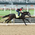 Taiba, Joe no go for Preakness