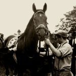 Hot Rod Charlie to return in G3 Salvator Mile