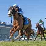 Studlydoright runs ’em down to win Tremont