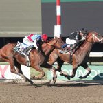 The Sky Is Falling scores in Sylvia Bishop Memorial
