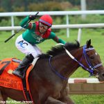 Studlydoright runs ’em down to win Tremont