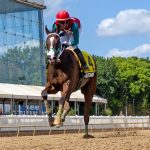 Charles Town picks and analysis: August 26